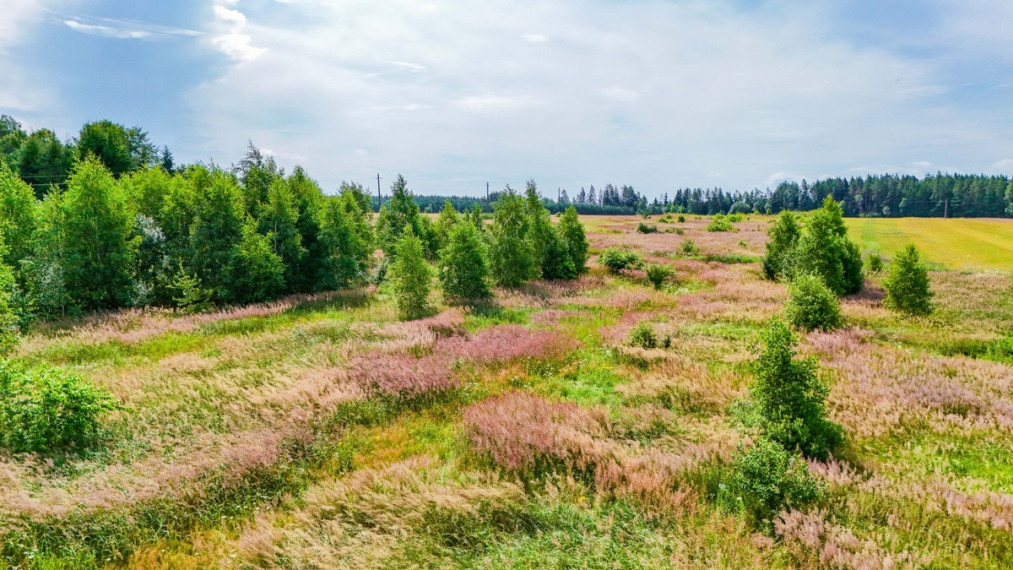 Parduodamas  sklypas Daugų g., Onuškio mstl., Trakų r. sav., 28.73 a ploto 2
