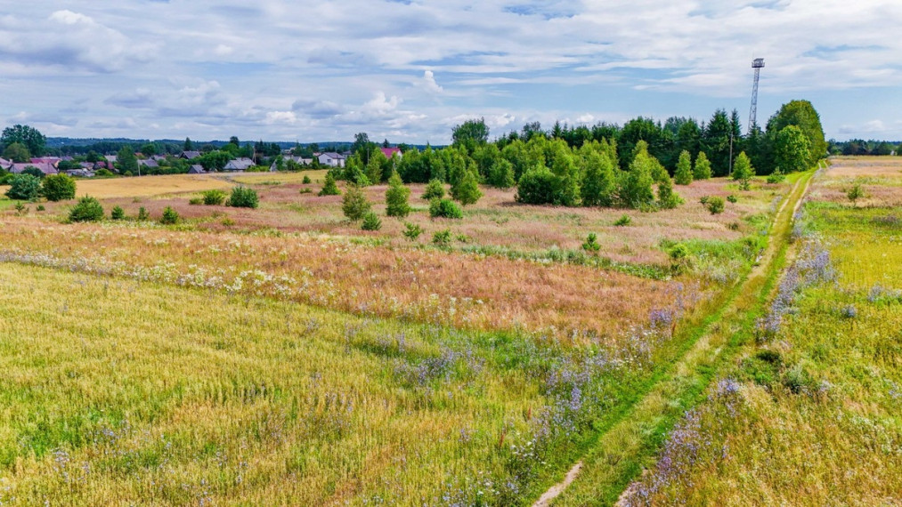 Parduodamas  sklypas Daugų g., Onuškio mstl., Trakų r. sav., 28.73 a ploto 3
