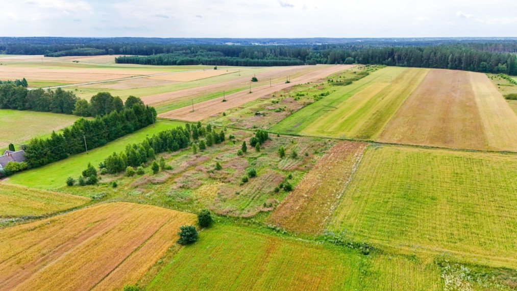 Parduodamas  sklypas Daugų g., Onuškio mstl., Trakų r. sav., 28.73 a ploto 6