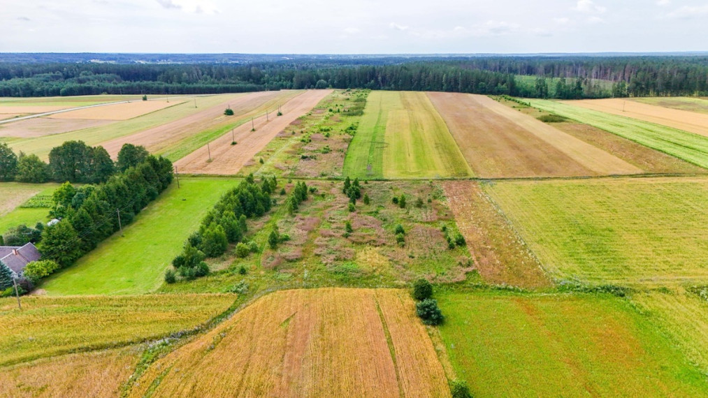Parduodamas  sklypas Daugų g., Onuškio mstl., Trakų r. sav., 28.73 a ploto 7