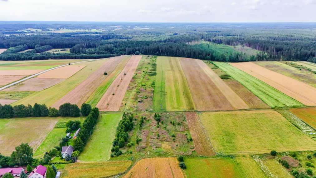Parduodamas  sklypas Daugų g., Onuškio mstl., Trakų r. sav., 28.73 a ploto 14