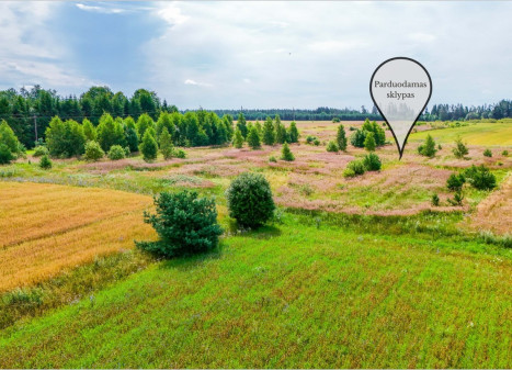 Parduodamas sklypas Daugų g., Onuškio mstl., Trakų r. sav., 28.73 a ploto Parduodamas sklypas Daugų g., Onuškio mstl., Trakų r. sav., 28.73 a ploto