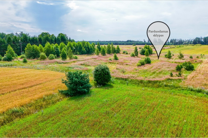 Parduodamas  sklypas Daugų g., Onuškio mstl., Trakų r. sav., 28.73 a ploto 1