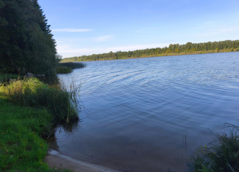 Parduodamas sklypas Marių g., Vėžionių k., Kupiškio r. sav., 23.00 a ploto