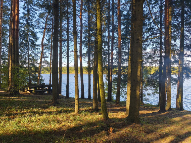 Parduodamas sklypas Marių g., Vėžionių k., Kupiškio r. sav., 23.00 a ploto 2
