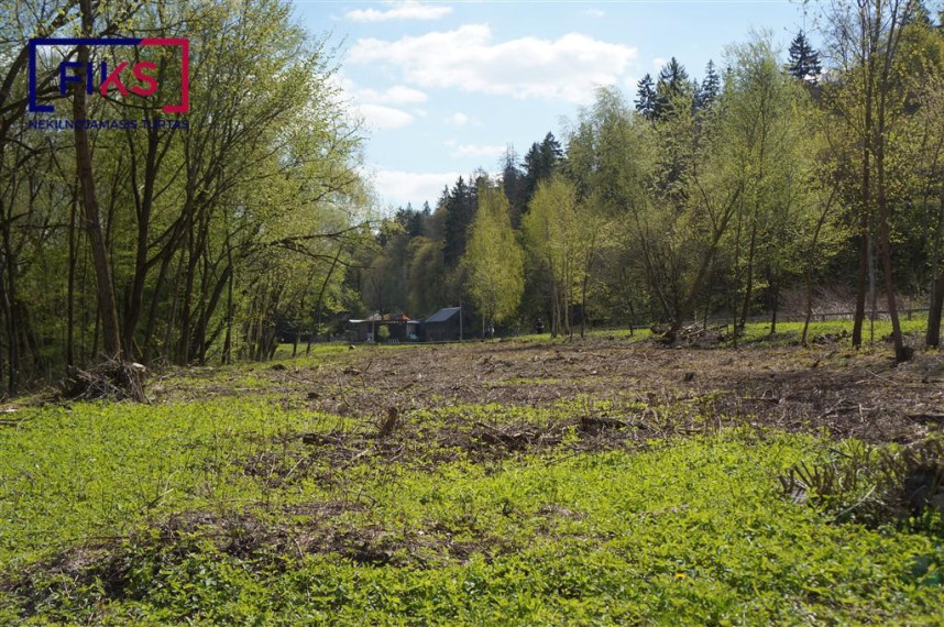 Parduodamas sklypas Panemunės g., Pyplių k., Kauno r. sav., 30.91 a ploto 22