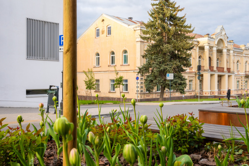 Nuomojamas butas Paupio g., Užupis, Vilniaus m., Vilniaus m. sav., 50.05 m2 ploto, 2 kambariai 30