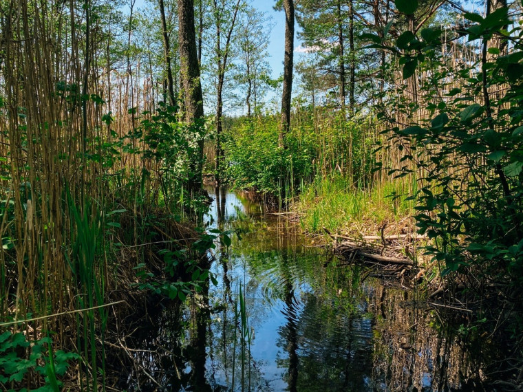 Parduodamas namas Lazdijų r. sav., Gegutės k., Šlavantų, 696 m2 ploto, 2 aukštai 38