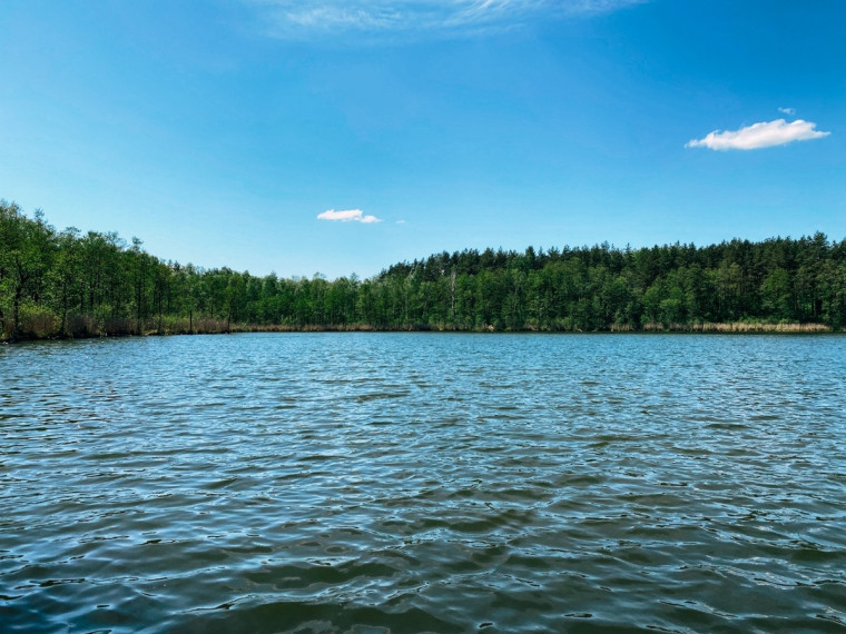 Parduodamas namas Lazdijų r. sav., Gegutės k., Šlavantų, 696 m2 ploto, 2 aukštai 39