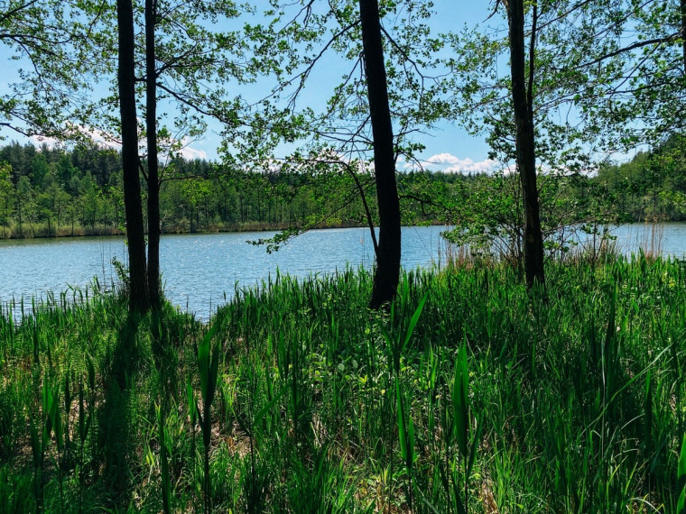Parduodamas namas Lazdijų r. sav., Gegutės k., Šlavantų, 696 m2 ploto, 2 aukštai 42