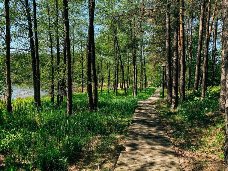 Parduodamas namas Lazdijų r. sav., Gegutės k., Šlavantų, 696 m2 ploto, 2 aukštai 43