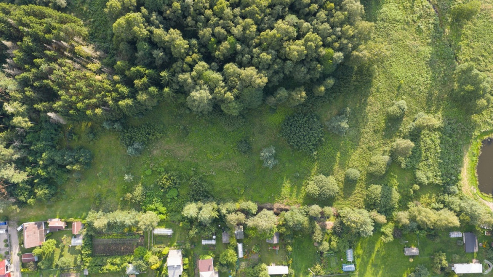 Parduodamas  sklypas Gulbiniškių kel., Gulbiniškių k., Jonavos r. sav., 79.43 a ploto 11