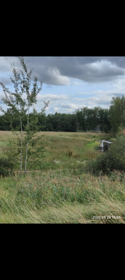 Parduodamas sklypas Pakigės g., Narkūnų k., Utenos r. sav., 11149.00 a ploto 5