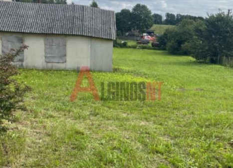 Parduodamas sklypas Dariaus ir Girėno g., Pajūrio mstl., Šilalės r. sav., 14 a ploto Parduodamas sklypas Dariaus ir Girėno g., Pajūrio mstl., Šilalės r. sav., 14 a ploto