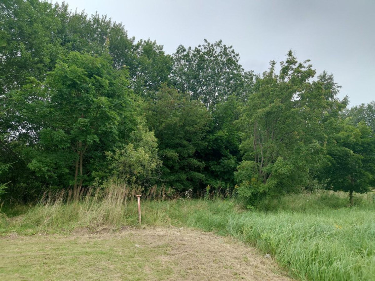 Parduodamas sklypas Bačiūnų g., Rėkyva, Šiaulių m., Šiaulių m. sav., 5.50 a ploto 11
