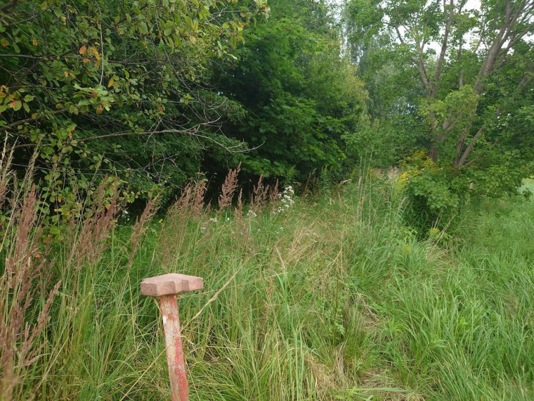 Parduodamas sklypas Bačiūnų g., Rėkyva, Šiaulių m., Šiaulių m. sav., 5.50 a ploto 15