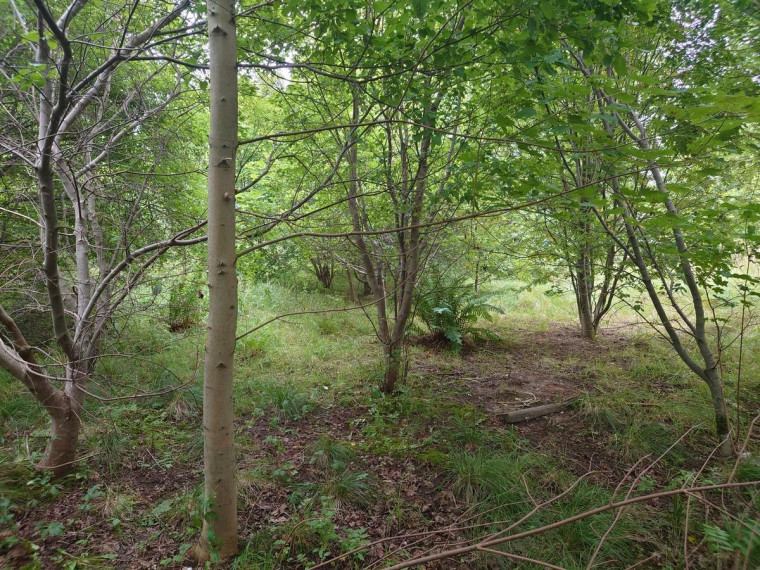 Parduodamas sklypas Bačiūnų g., Rėkyva, Šiaulių m., Šiaulių m. sav., 5.50 a ploto 18