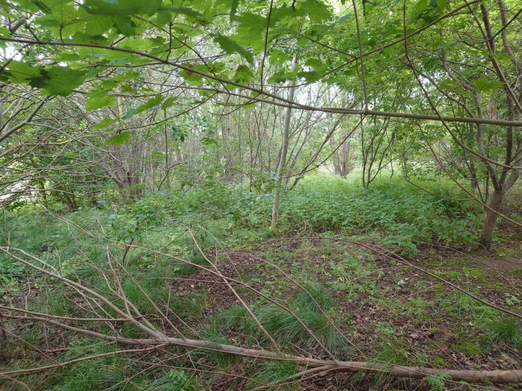 Parduodamas sklypas Bačiūnų g., Rėkyva, Šiaulių m., Šiaulių m. sav., 5.50 a ploto 19