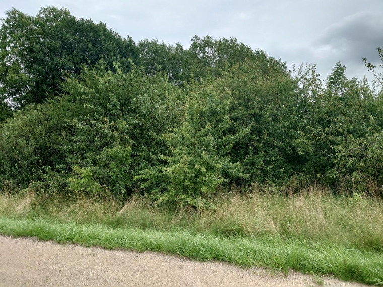 Parduodamas sklypas Bačiūnų g., Rėkyva, Šiaulių m., Šiaulių m. sav., 5.50 a ploto 22