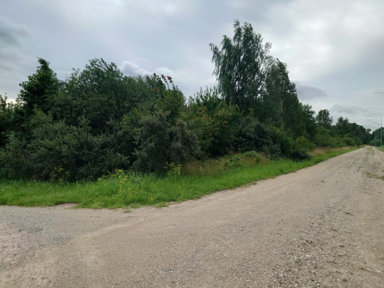 Parduodamas sklypas Bačiūnų g., Rėkyva, Šiaulių m., Šiaulių m. sav., 5.50 a ploto 23