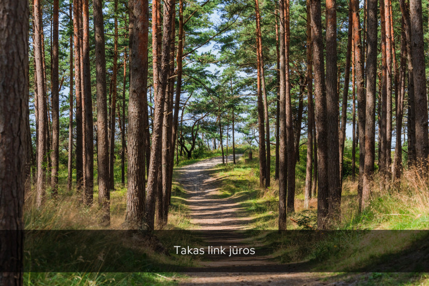 Parduodamas namas Užkanavės g., Kunigiškės, Palangos m., Palangos m. sav., 105 m2 ploto, 3 aukštai 17