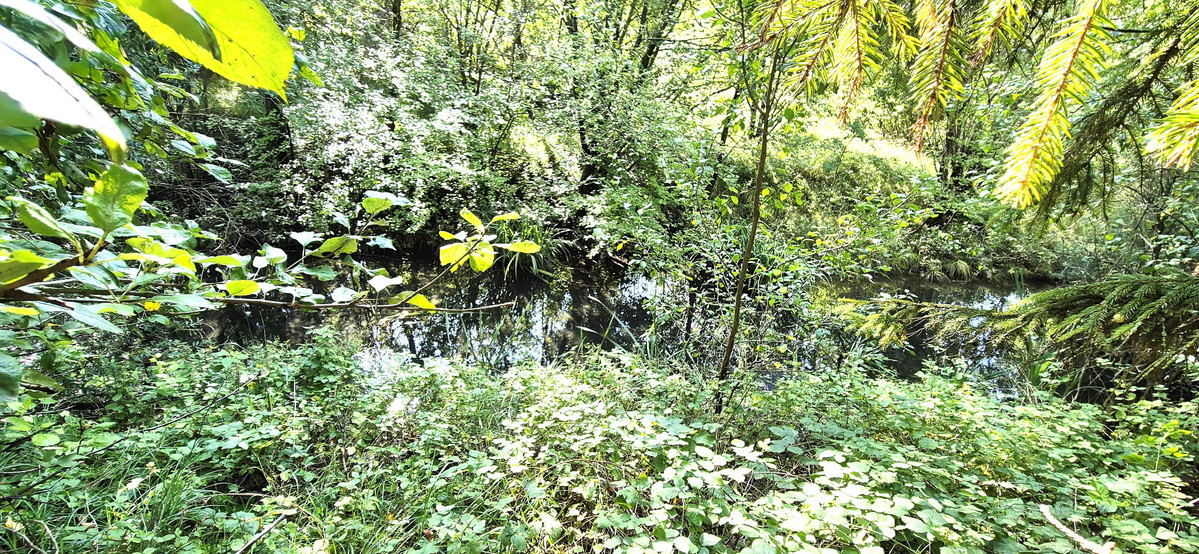 Parduodamas  sklypas Salantų g., Vytėnai, Kauno m., Kauno m. sav., 9.74 a ploto 12