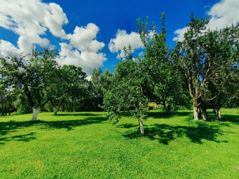 Parduodamas namas Klovinių k., Utenos r. sav., 77 m² ploto 3 kambariai 20