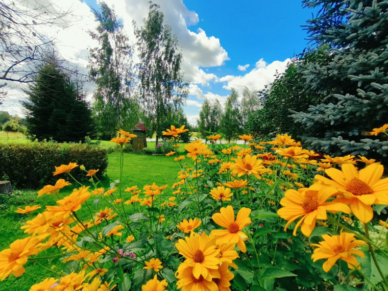 Parduodamas namas Klovinių k., Utenos r. sav., 77 m² ploto 3 kambariai 26