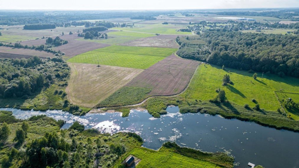 Parduodamas  sklypas Plotų vs., Širvintų r. sav., 85.82 a ploto 10