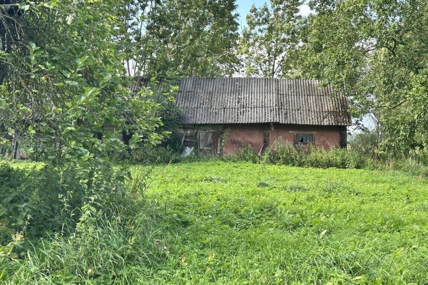 PARDUODAMA AUTENTIŠKA SODYBA 5,1235 HA. SKLYPE BOBINIŠKIŲ KAIME PANEVĖŽIO RAJONE 8