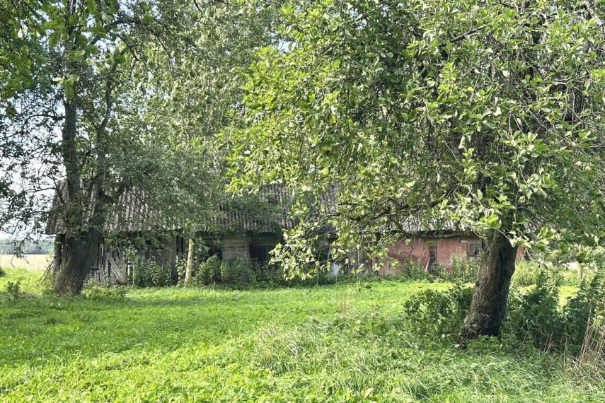 PARDUODAMA AUTENTIŠKA SODYBA 5,1235 HA. SKLYPE BOBINIŠKIŲ KAIME PANEVĖŽIO RAJONE 9