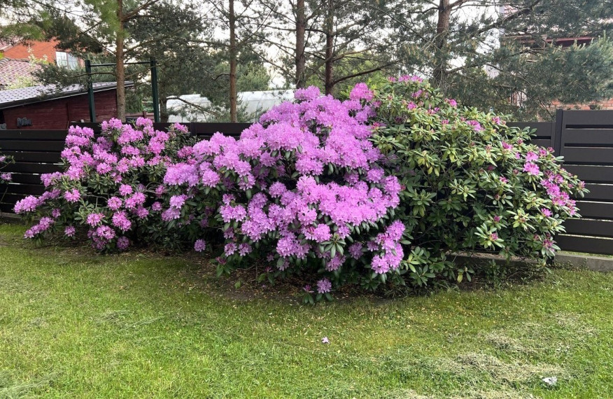 Parduodamas namas Mėguvos g., Normantų k., Klaipėdos r. sav., 200 m2 ploto, 2 aukštai 4