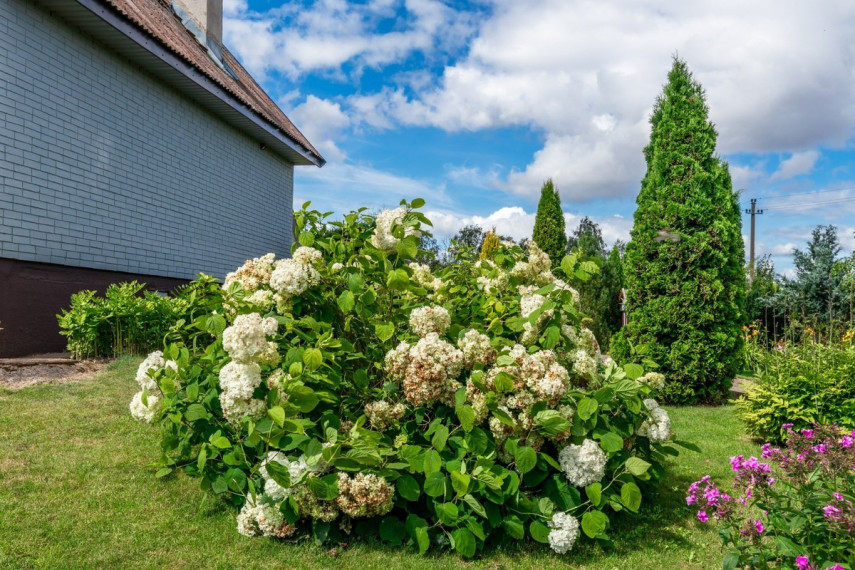 Parduodamas namas Kaštonų g., Agluonų k., Akmenės r. sav., 156.08 m2 ploto, 2 aukštai 7