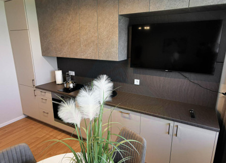 Parduodamas butas Rygos g., Justiniškės, Vilniaus m., Vilniaus m. sav., 40.81 m² ploto 1 kambarys Parduodamas butas Rygos g., Justiniškės, Vilniaus m., Vilniaus m. sav., 40.81 m² ploto 1 kambarys