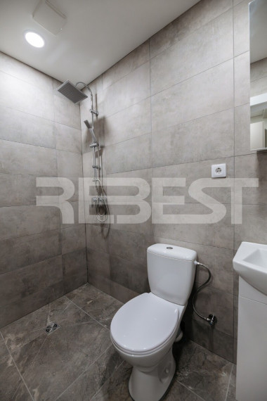 Nuomojamas butas Žemaitės g., Gubernija, Šiaulių m., Šiaulių m. sav., 20 m2 ploto, 1 kambariai 19