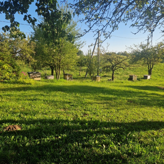 Parduodamas namas Laukų g., Ulyškų k., Alytaus r. sav., 49.95 m2 ploto, 1 aukštai 12