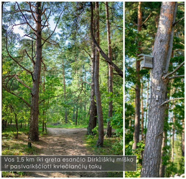 Parduodamas namas Ismonių g., Aukštieji Paneriai, Vilniaus m., Vilniaus m. sav., 156 m2 ploto, 1 aukštai 40