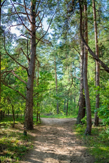 Parduodamas namas Grendavės g., Aukštieji Paneriai, Vilniaus m., Vilniaus m. sav., 133 m2 ploto, 2 aukštai 21