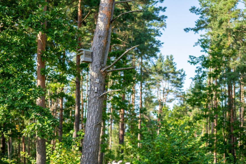 Parduodamas namas Grendavės g., Aukštieji Paneriai, Vilniaus m., Vilniaus m. sav., 133 m2 ploto, 2 aukštai 22