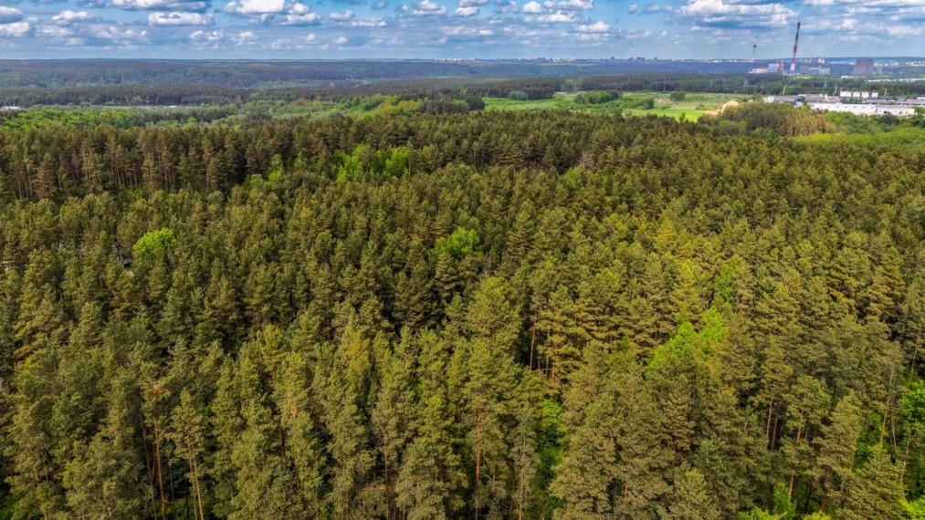 Parduodamas namas Grendavės g., Aukštieji Paneriai, Vilniaus m., Vilniaus m. sav., 133 m2 ploto, 2 aukštai 38