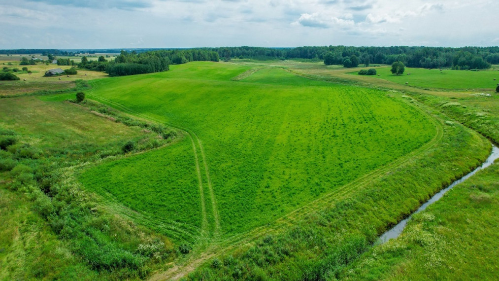 Parduodamas  sklypas Daugėliškio k., Ukmergės r. sav., 441 a ploto 9