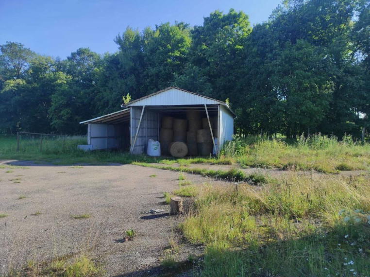 Parduodamos patalpos Smalkviečių k., Šilalės r. sav., 917.00 m² ploto 6