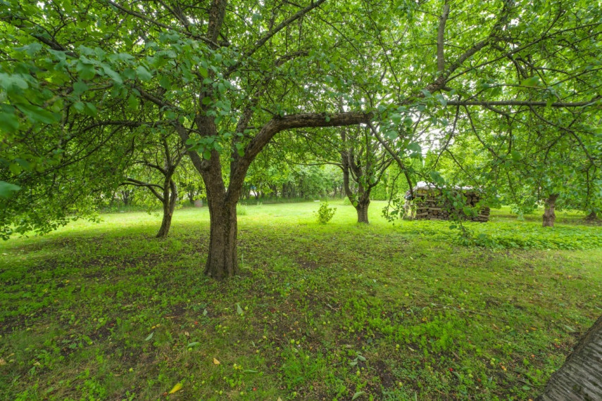 Parduodamas namas Liepojos g., Mažojo kaimelio, Klaipėdos m., Klaipėdos m. sav., 321.62 m2 ploto, 3 aukštai 53