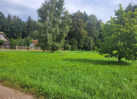 Parduodamas  sklypas Pangesų k., Klaipėdos r. sav., 13 a ploto