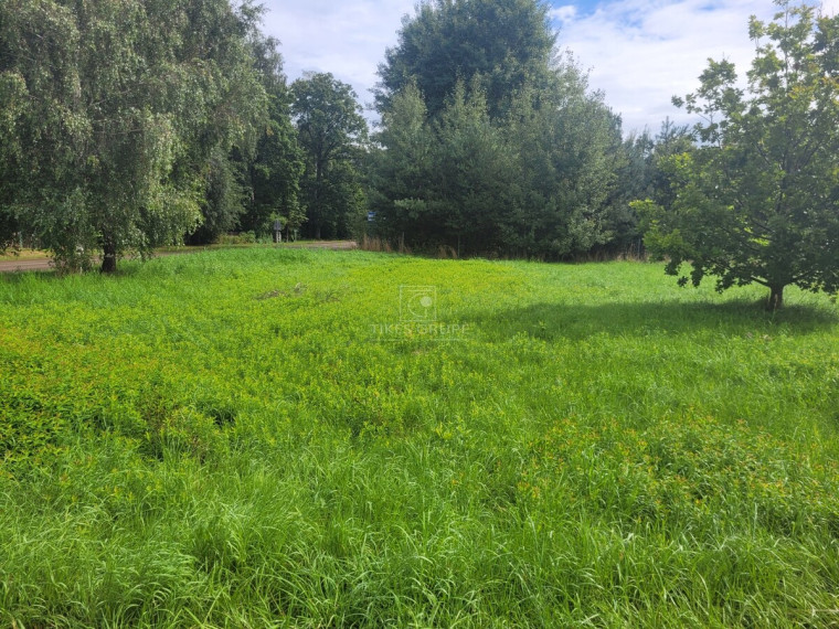 Parduodamas  sklypas Pangesų k., Klaipėdos r. sav., 13 a ploto 3