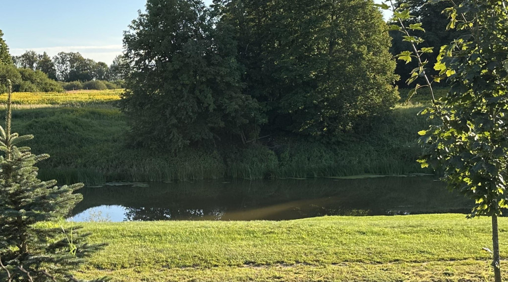 Parduodamas sklypas Santakos 1-oji g., Kudirkos Naumiesčio m., Šakių r. sav., 8 a ploto 2