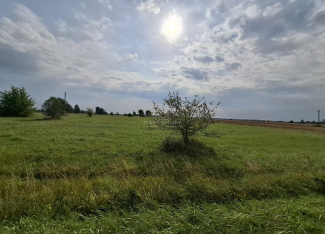 Parduodamas  sklypas Lelių k., Klaipėdos r. sav., 100 a ploto