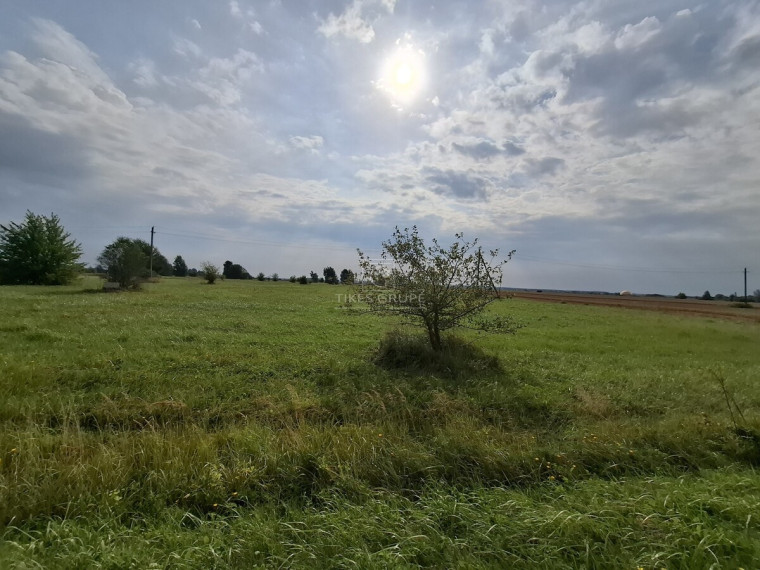 Parduodamas  sklypas Lelių k., Klaipėdos r. sav., 100 a ploto 1