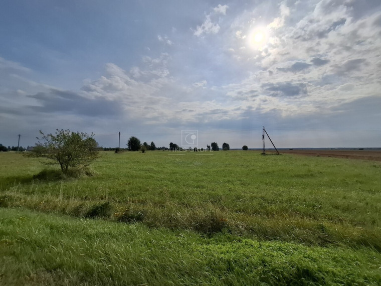 Parduodamas  sklypas Lelių k., Klaipėdos r. sav., 100 a ploto 4