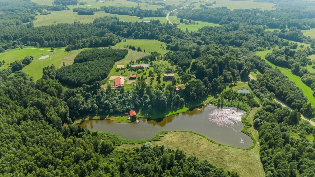 Parduodamas namas Stakliškių k., Prienų r. sav., 500 m2 ploto 4